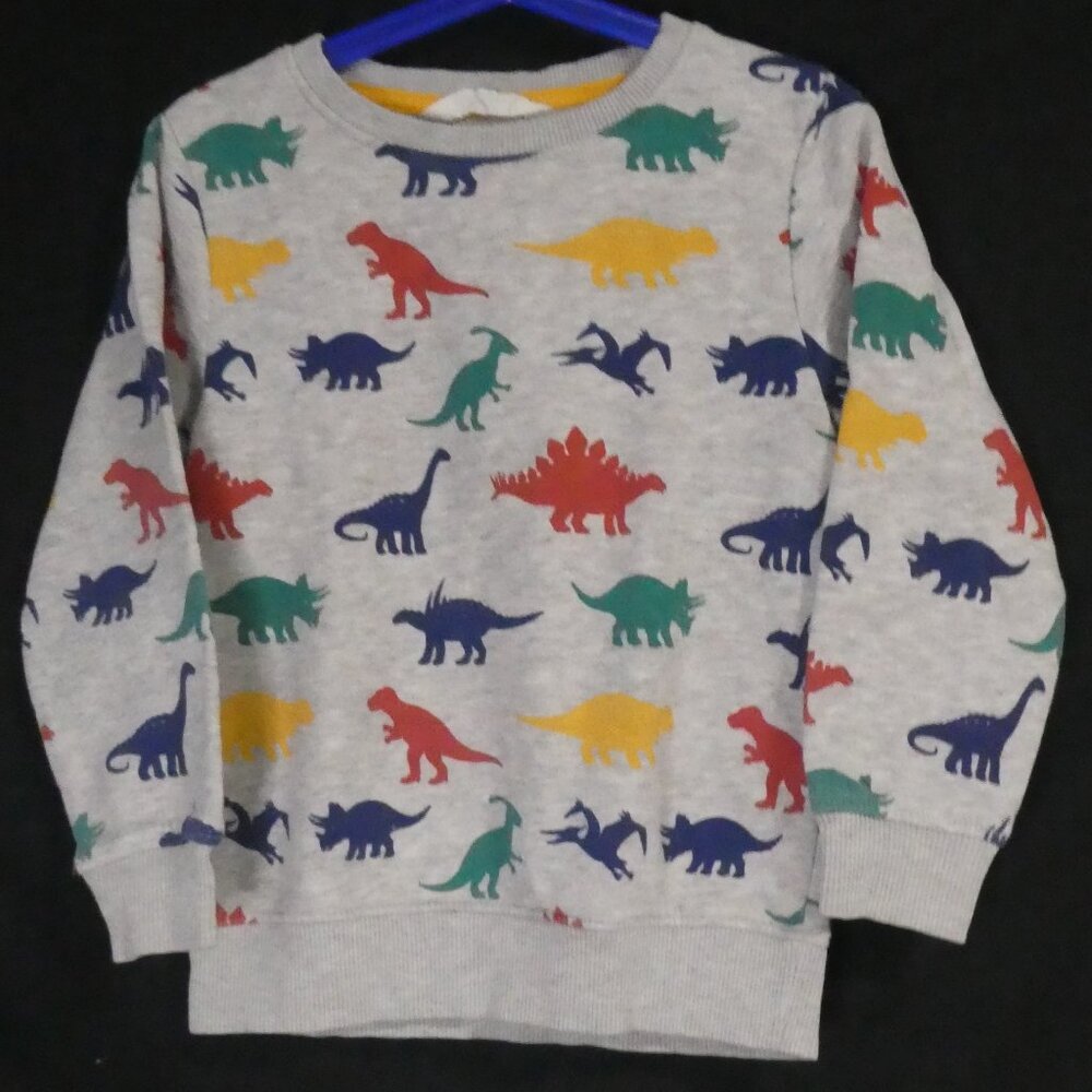 H&M | 4-6 years | Colorful Grey Dinosaur Sweatshirt